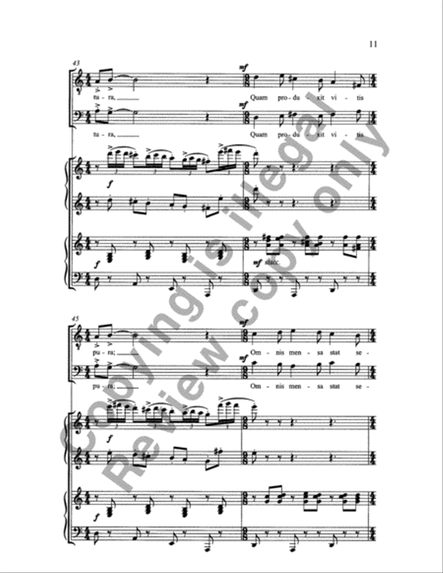 Carmina Juventutis: Drinking Song (Vinum bonum) TTBB scores gallery preview page 10