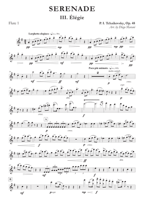 "Elegie" from Serenade Op. 48 for Flute Quartet