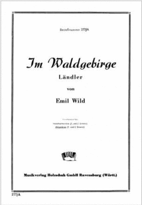 Im Waldgebirge