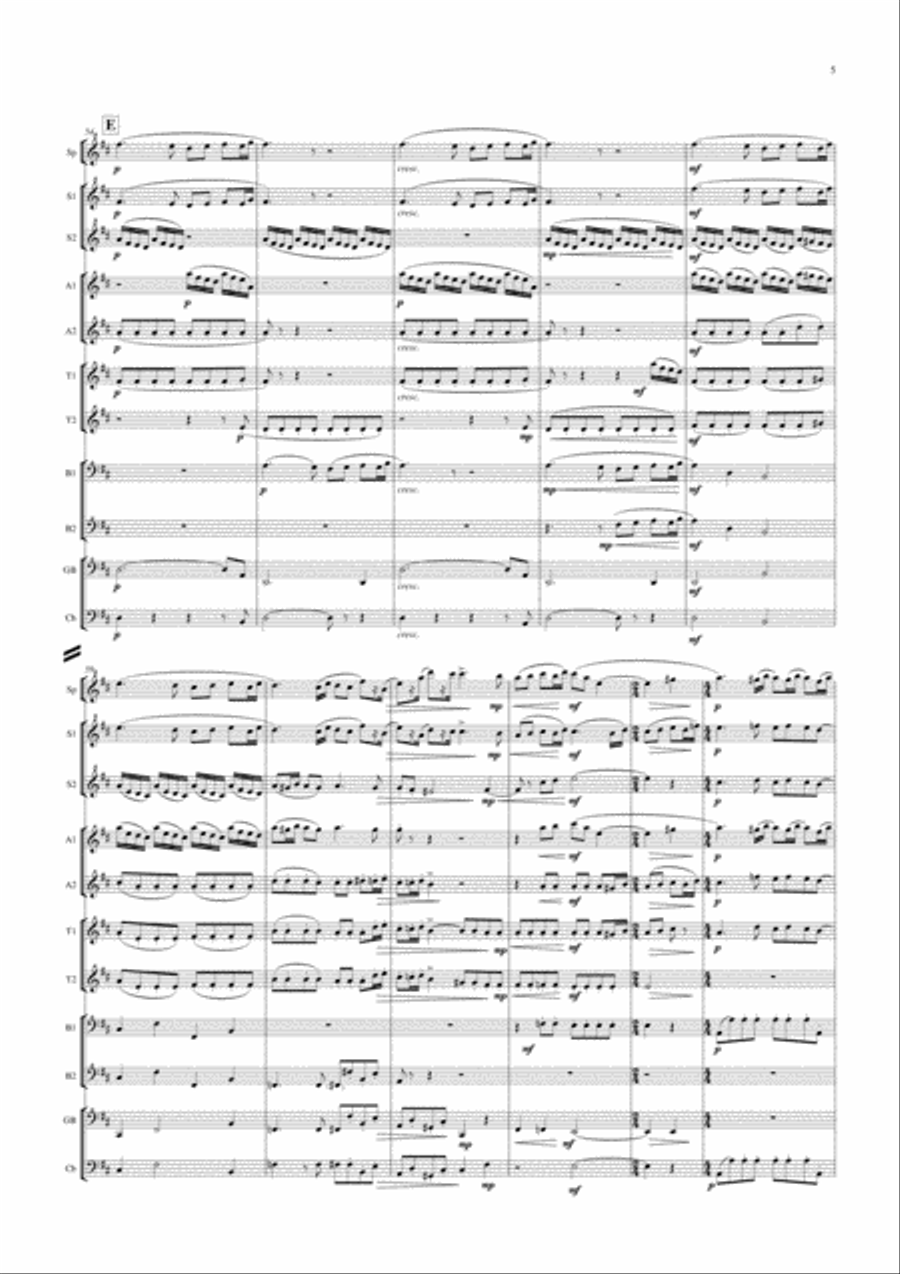 Dvorak: Serenade for Strings String Orchestra scores gallery preview page 5