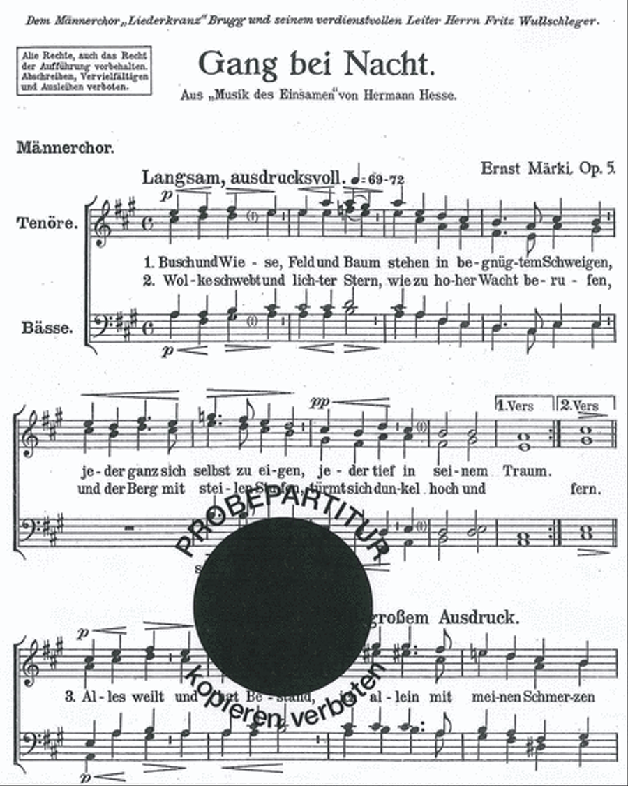 Gang bei Nacht Men's Choir scores gallery preview page 1
