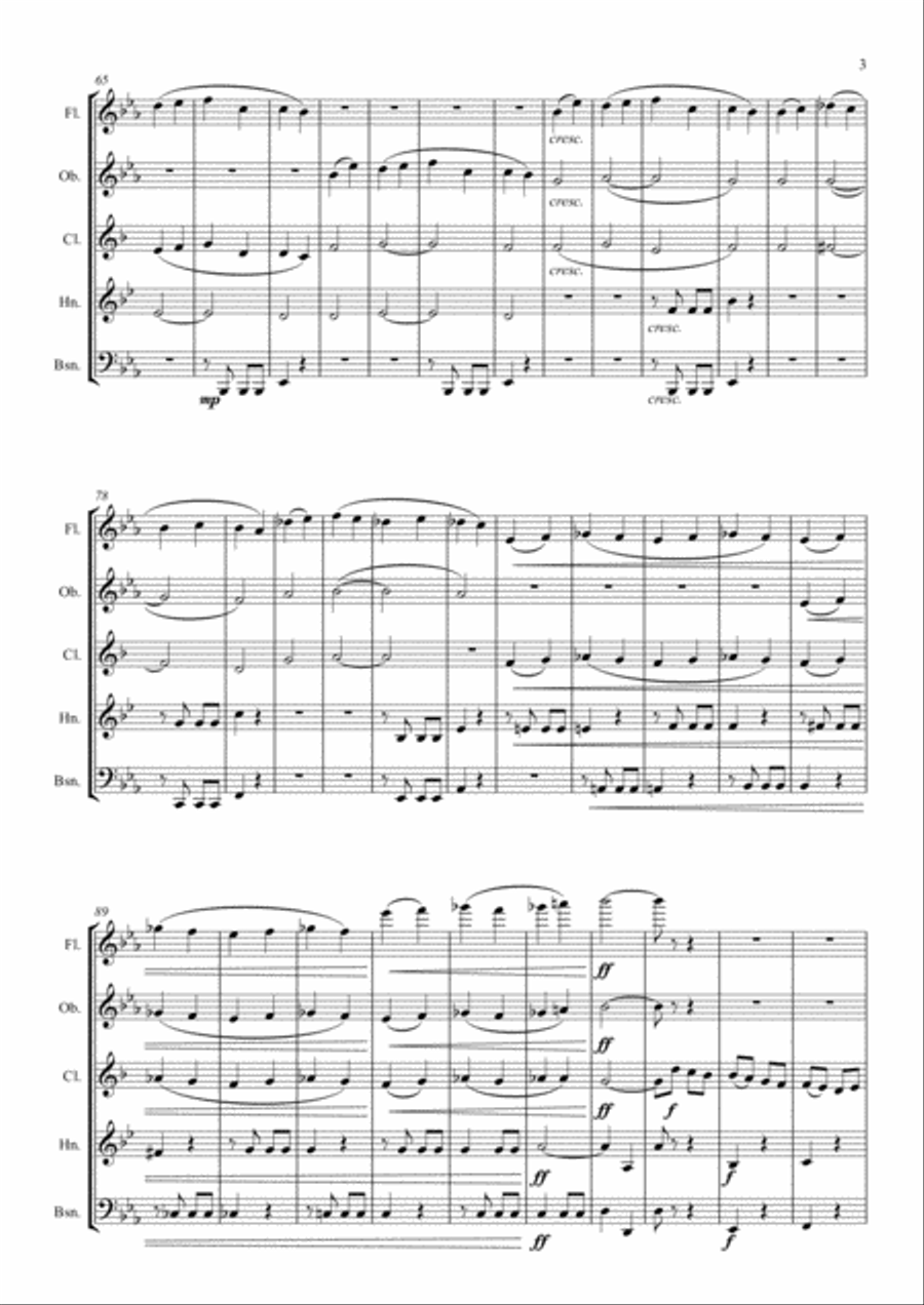 Beethovens 5th Symphony - 1st Movement - Wind Quintet Woodwind Quintet scores gallery preview page 3
