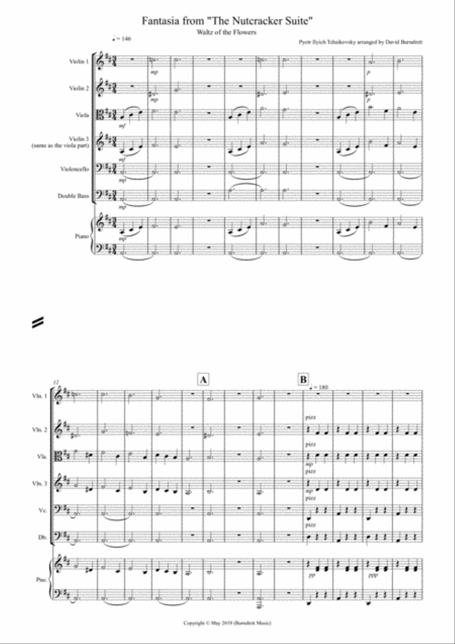 Waltz of the Flowers (Fantasia from Nutcracker) for String Orchestra String Orchestra scores gallery preview page 1