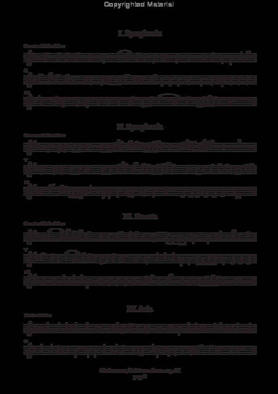 Deliciae studiosorum (Dritter Theil) (Nurnberg, 1643) Basso Continuo scores gallery preview page 3
