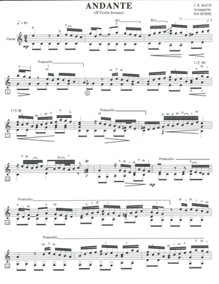 Book cover for Andante - II Violin Sonata