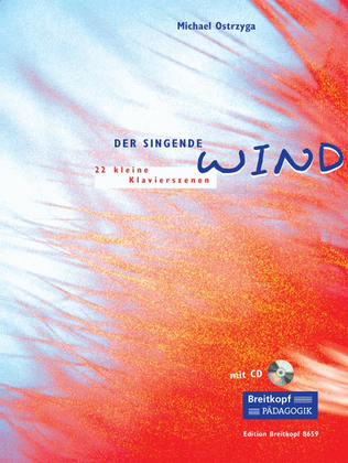 Book cover for Der singende Wind
