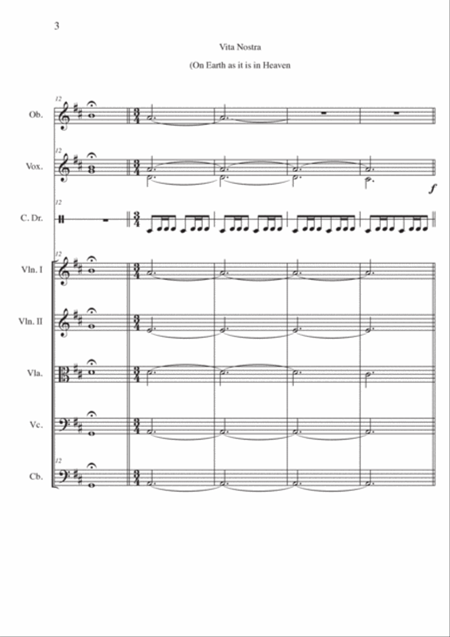 Vita Nostra String Orchestra scores gallery preview page 3