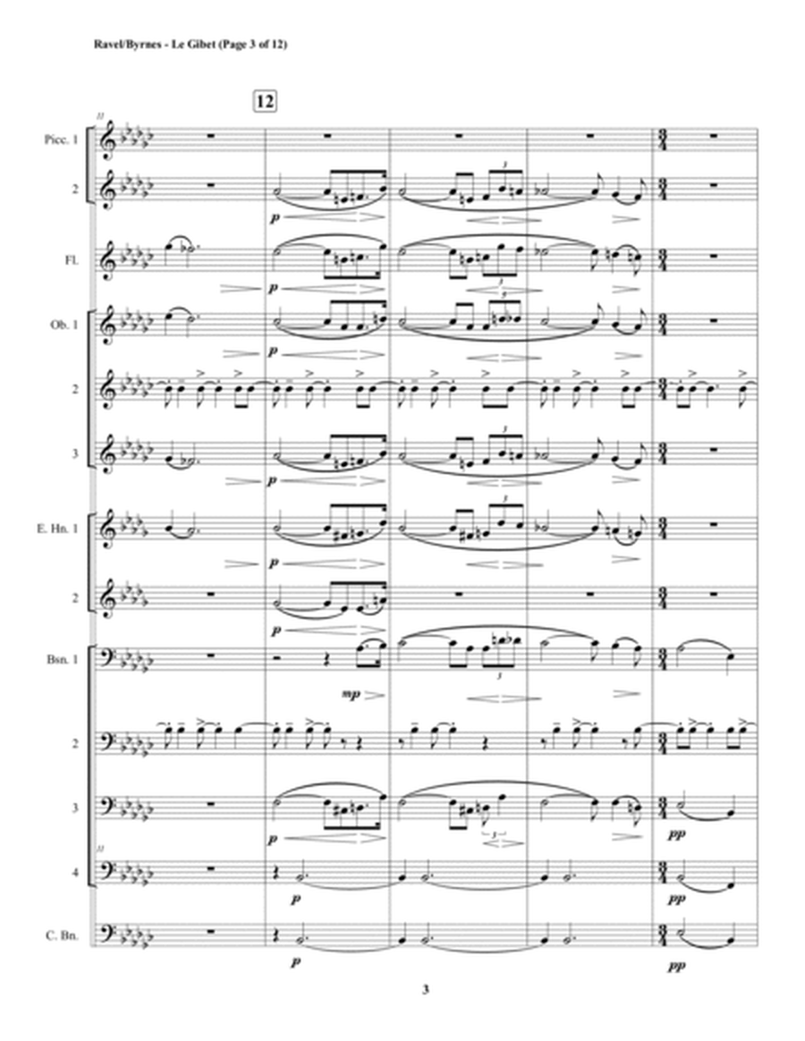 Le Gibet (Gaspard de la Nuit) for Double Reed Choir + Flue, 2 Piccolos image number null