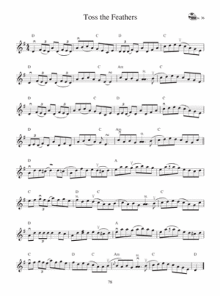 Irish Fiddle Playing - Volume 2 image number null