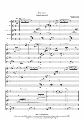 Book cover for Beethoven: Bagatelle in A minor WoO 59 (Für Elise) (For Elise) (shorter version) - wind quintet