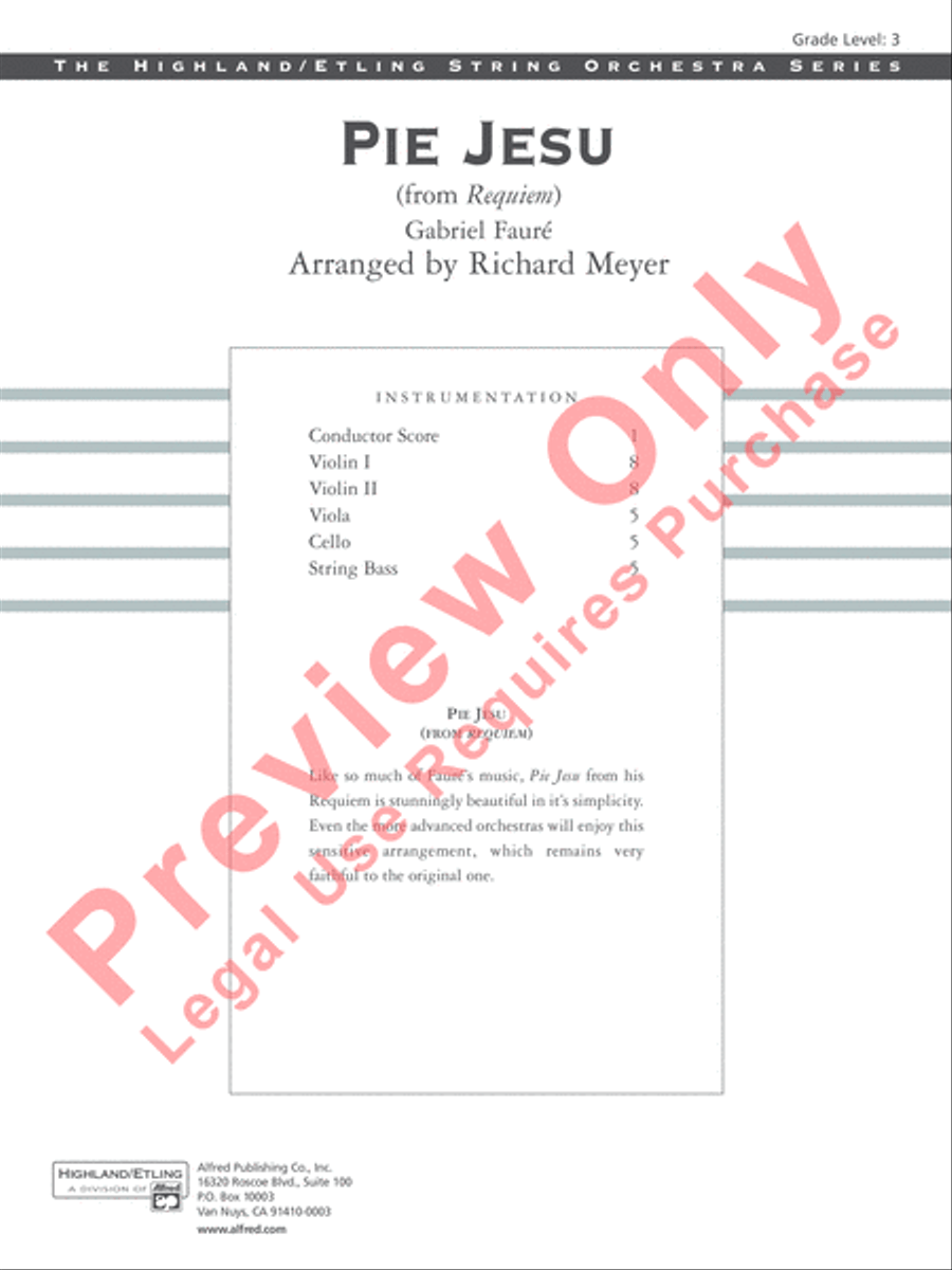Pie Jesu Pie Jesu String Orchestra scores gallery preview page 2