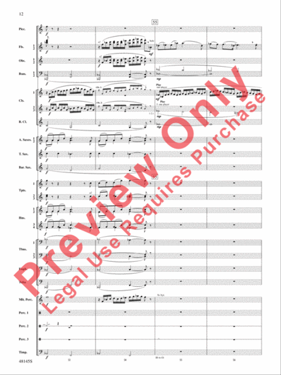 The River Seneca The River Seneca Concert Band scores gallery preview page 13