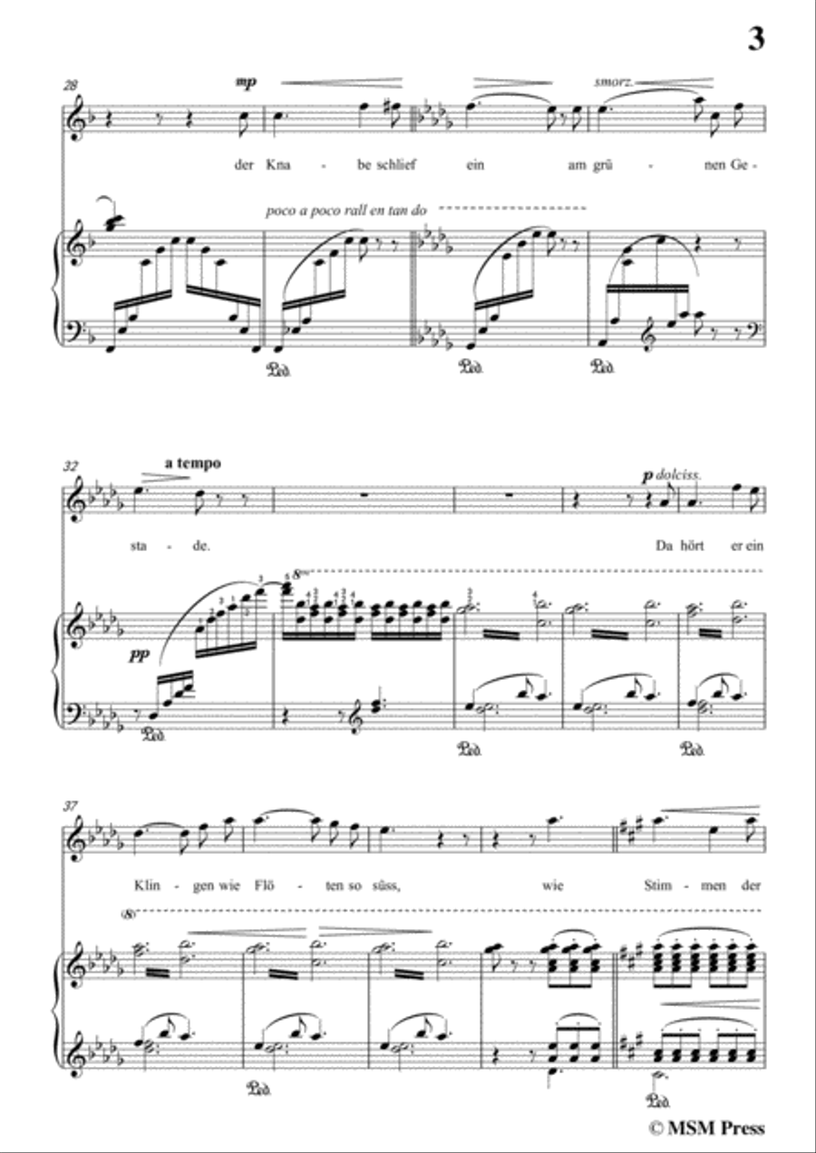 Liszt-Der fischerknabe in F Major,for Voice and Piano Voice Solo scores gallery preview page 5