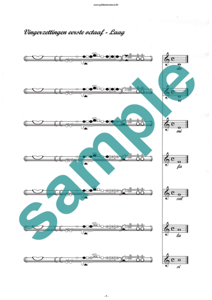 Exlusief Methodisch Overzicht for flute
