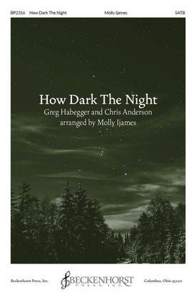 Book cover for How Dark The Night