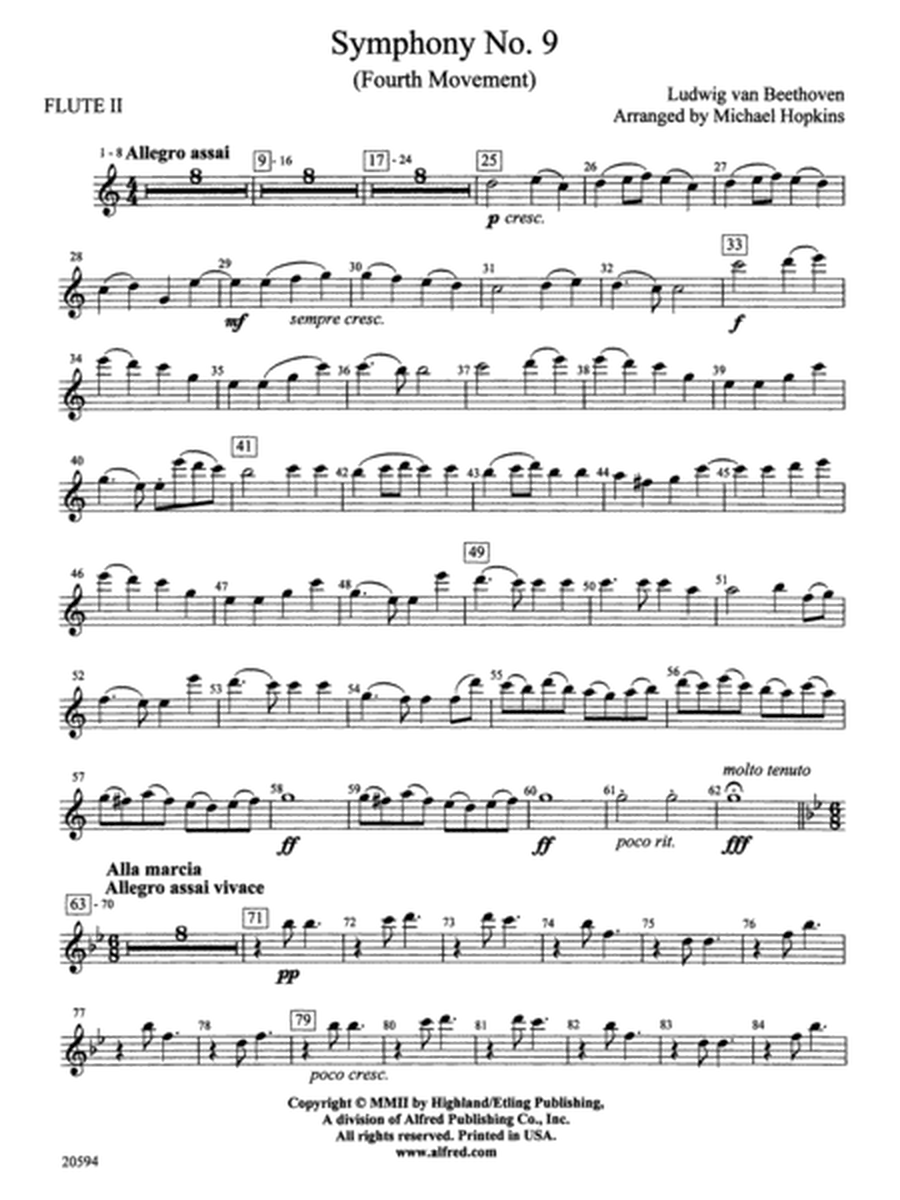Symphony No. 9 (Fourth Movement): 2nd Flute