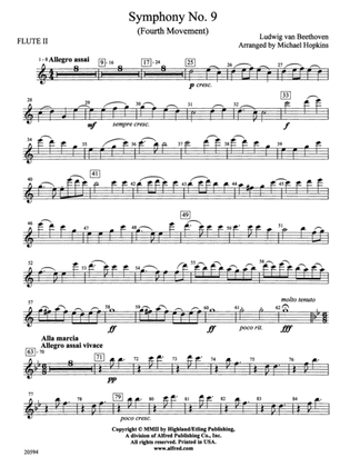 Symphony No. 9 (Fourth Movement): 2nd Flute
