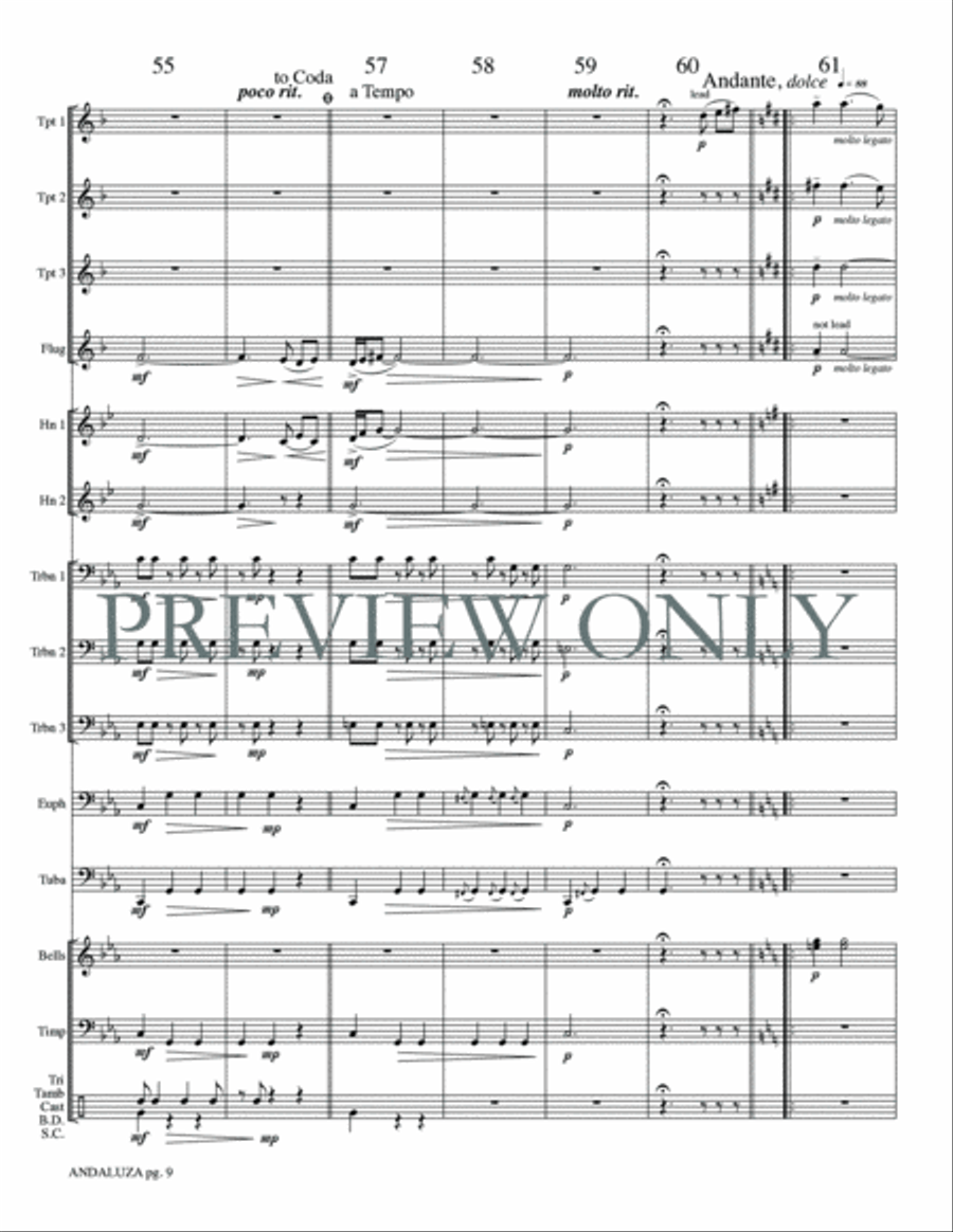 Andaluza Small Ensemble scores gallery preview page 11