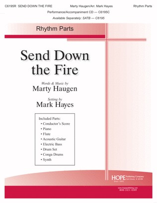 Book cover for Send Down the Fire