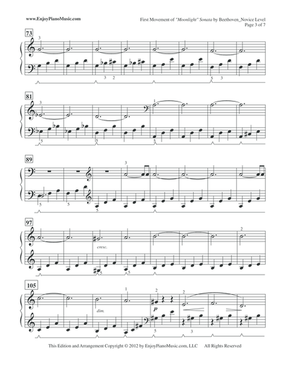 Moonlight Sonata - Beethoven, Easy Piano for Small Hands, Busy Teens & Adults image number null
