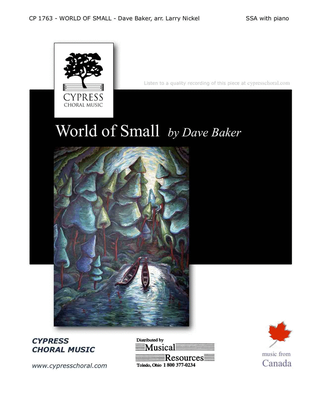 Book cover for World of Small