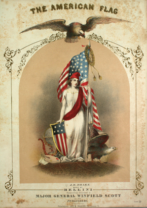 Book cover for The American Flag