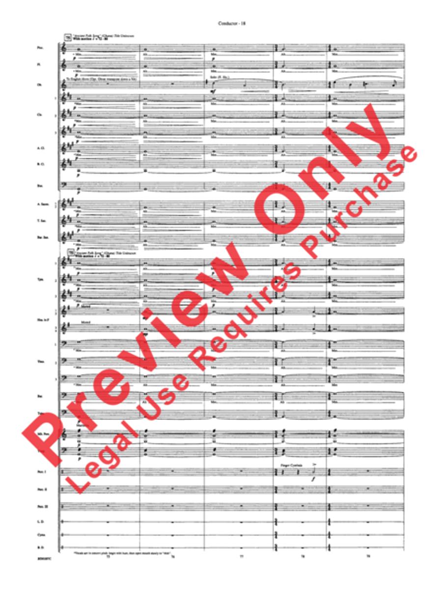 Africa: Ceremony, Song, and Ritual Concert Band scores gallery preview page 21