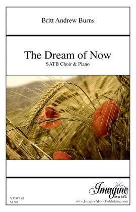 Book cover for The Dream of Now