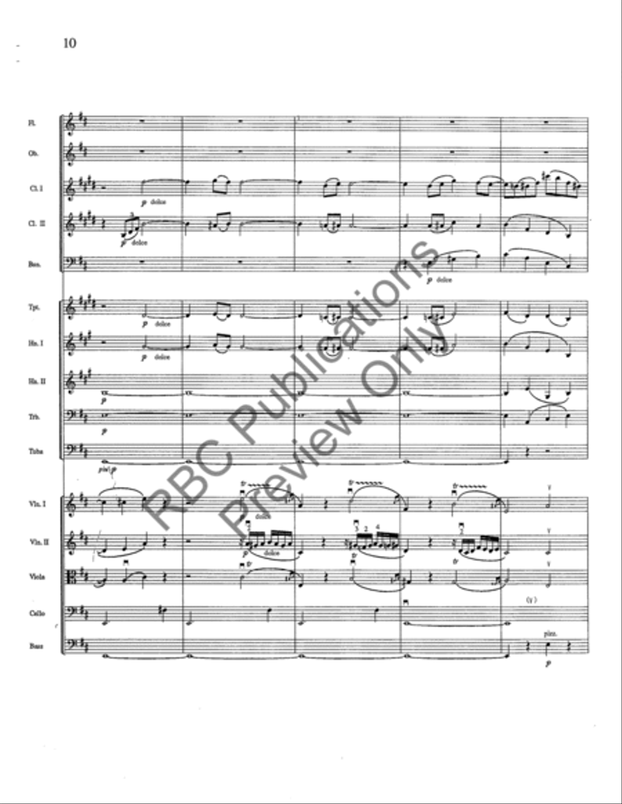 Siegfried Idyll Full Orchestra scores gallery preview page 11