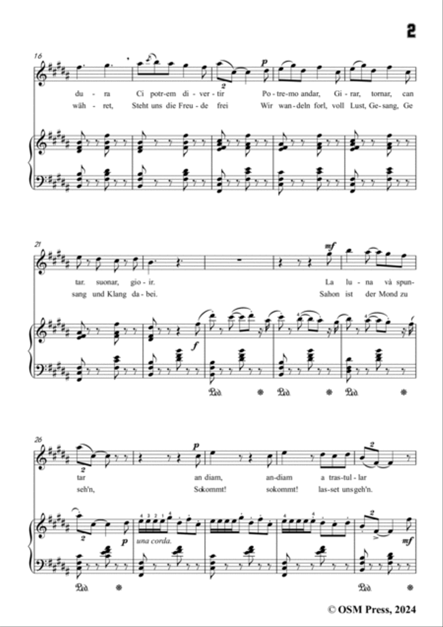 Paladilhe-Mandolinata( Souvenir de Rome),in B Major Voice scores gallery preview page 3