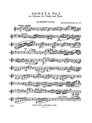 Book cover for Brahms: Sonata No. 2 in E flat Major, Op. 120