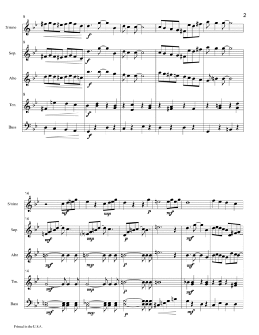Chief Niwot Rag for Recorder Ensemble Soprano Recorder scores gallery preview page 2
