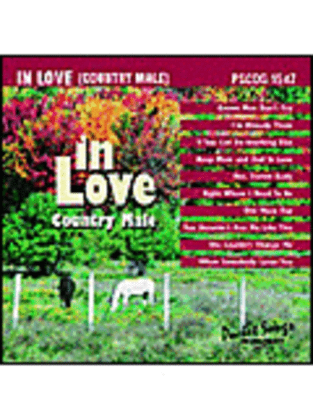 In Love: Country Hits (Karaoke CDG) image number null