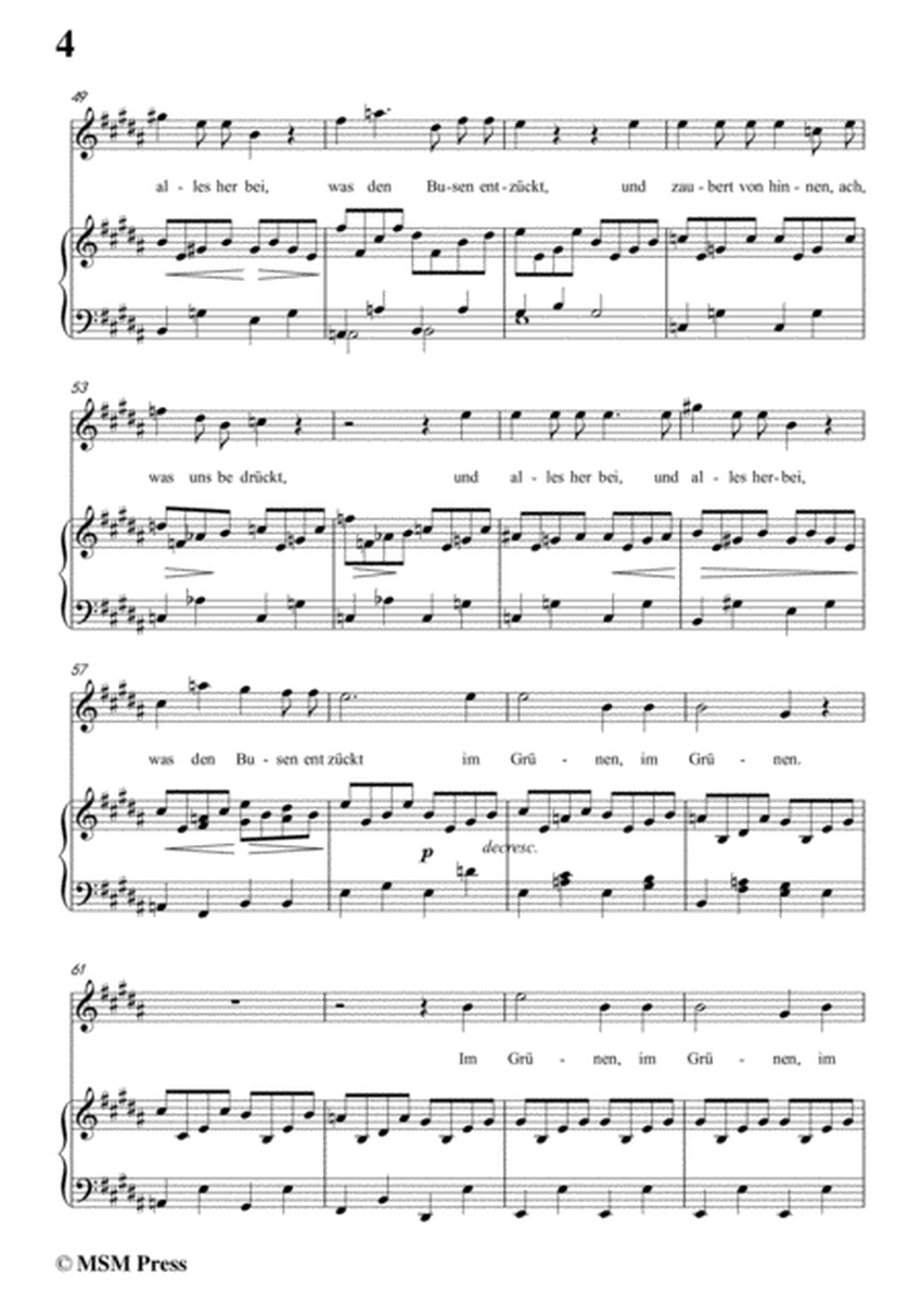 Schubert-Das Lied im Grünen,Op.115 No.1,in B Major,for Voice&Piano image number null