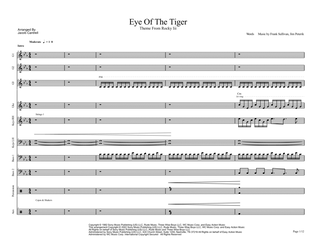 Eye Of The Tiger