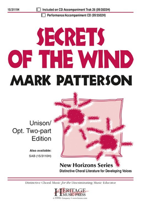 Book cover for Secrets of the Wind