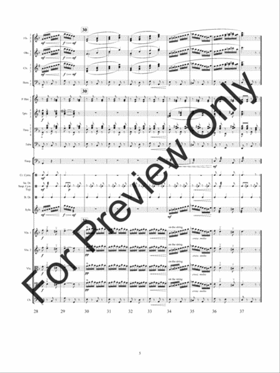 Csardas (Score) Full Orchestra scores gallery preview page 9
