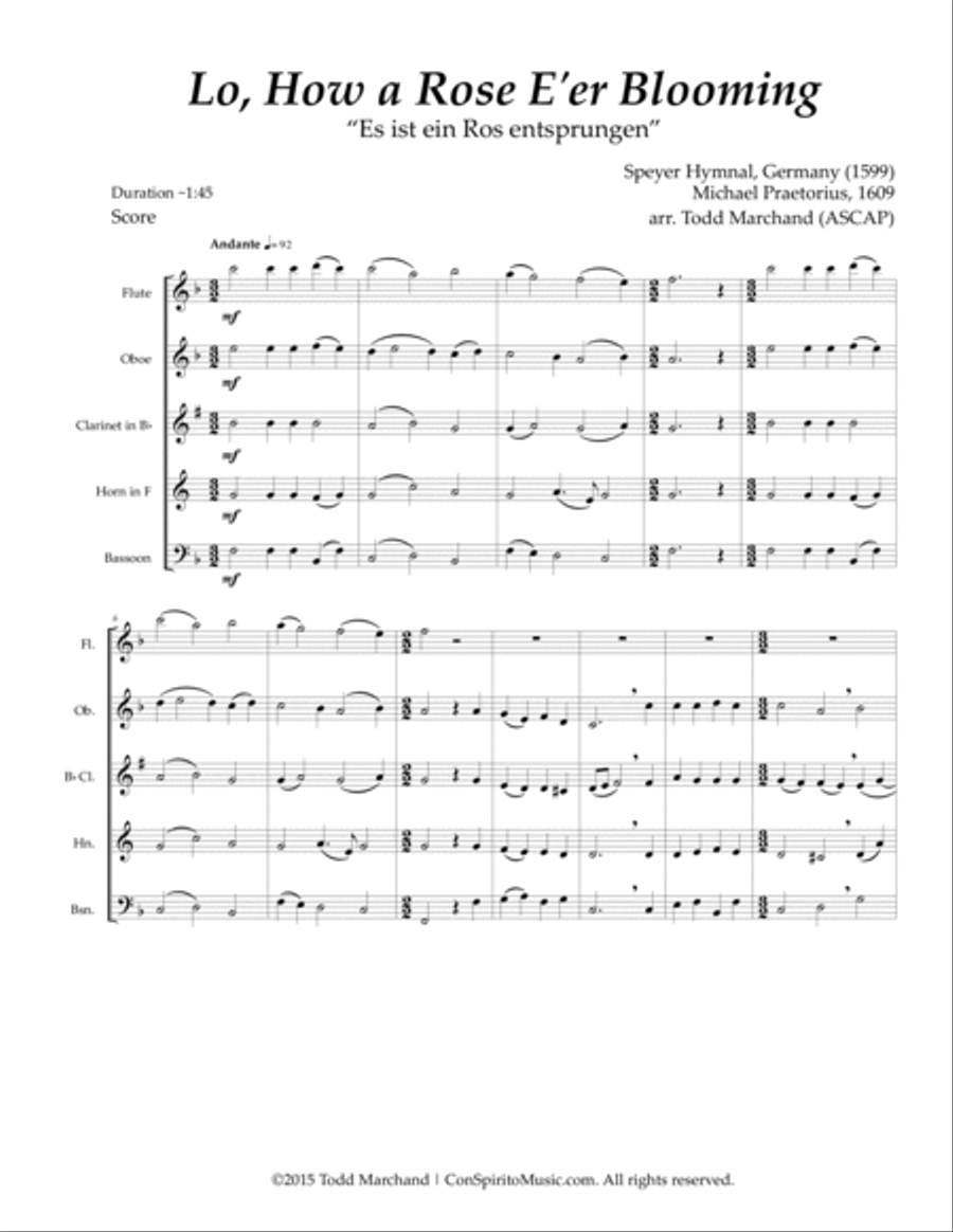Lo, How a Rose E'er Blooming - woodwind quintet Woodwind Quintet scores gallery preview page 3