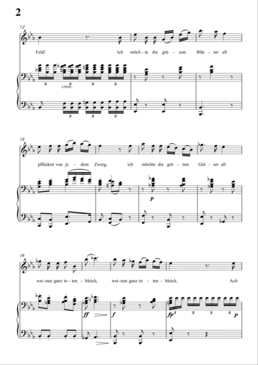 Schubert-Die böse Farbe,from 'Die Schöne Müllerin',Op.25 No.17 in bE for Vocal and Piano Voice scores gallery preview page 3