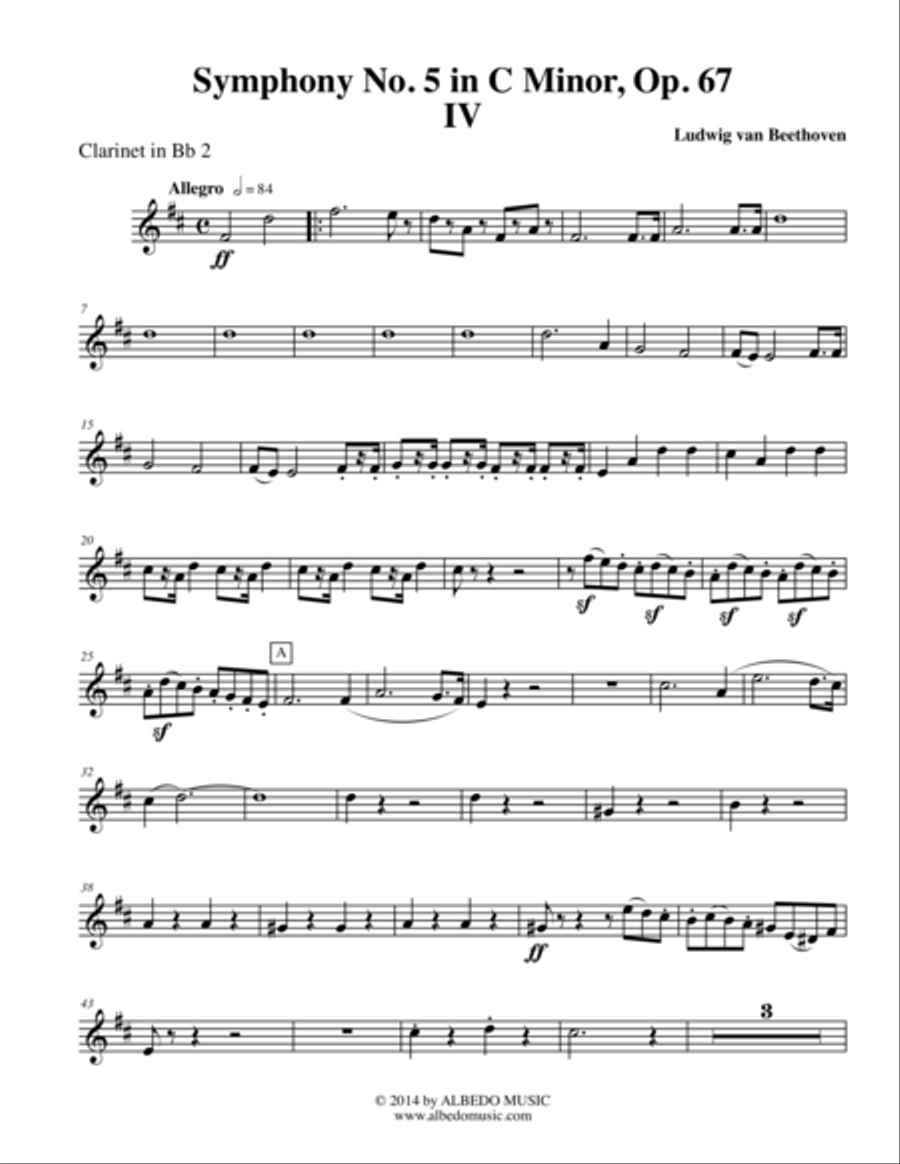 Clarinet symphony hotsell