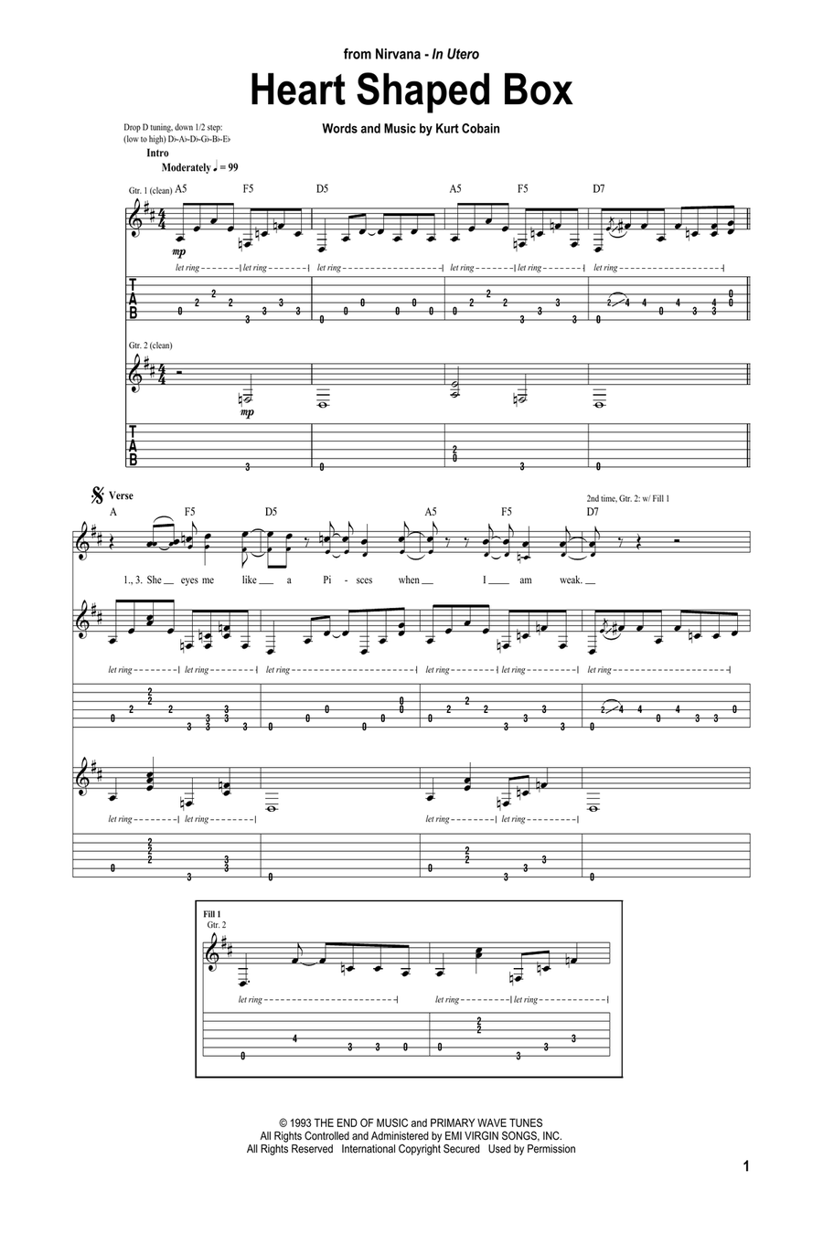 Heart Shaped Box by Nirvana - Acoustic Guitar - Digital