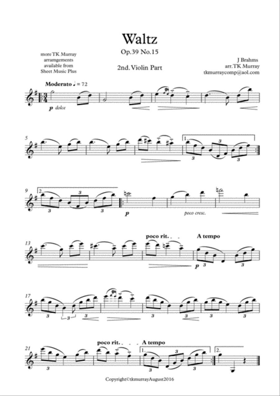 Suzuki shop violin 2