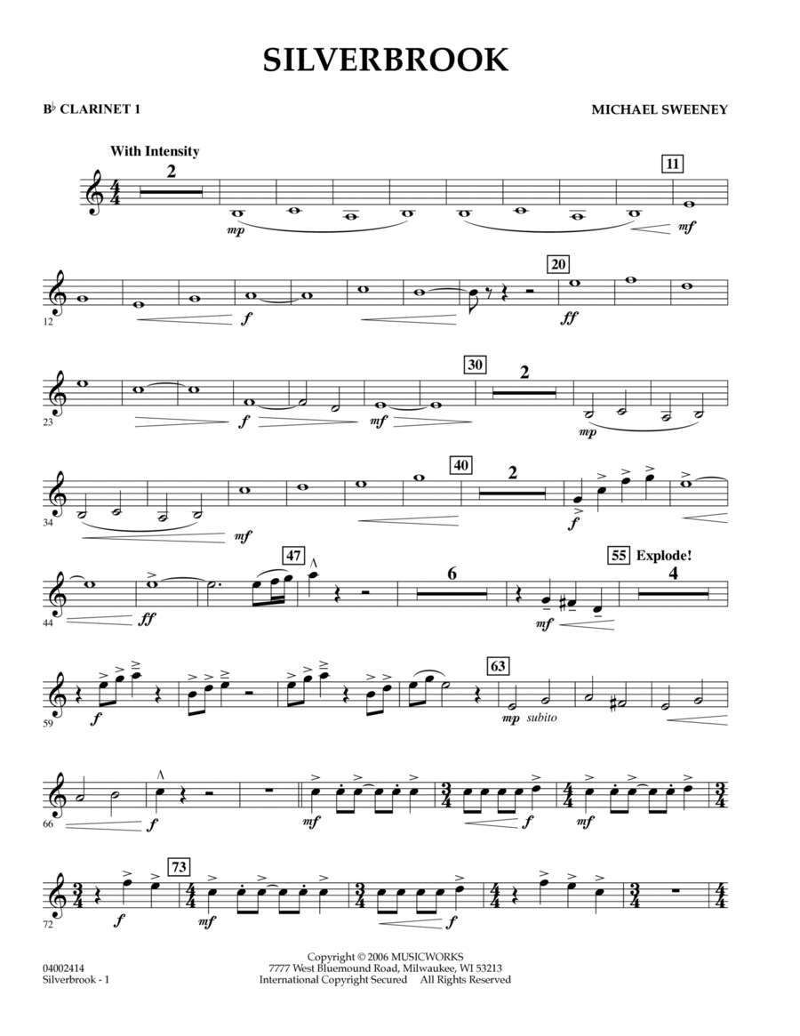 BUFFix for Clarinet　【STARLING SILVER】 Amazon.com: Buffet R13S Clarinet Silver Plate Keys : Musical