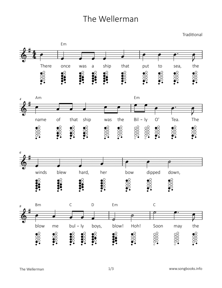 Tin whistle wellerman new arrivals