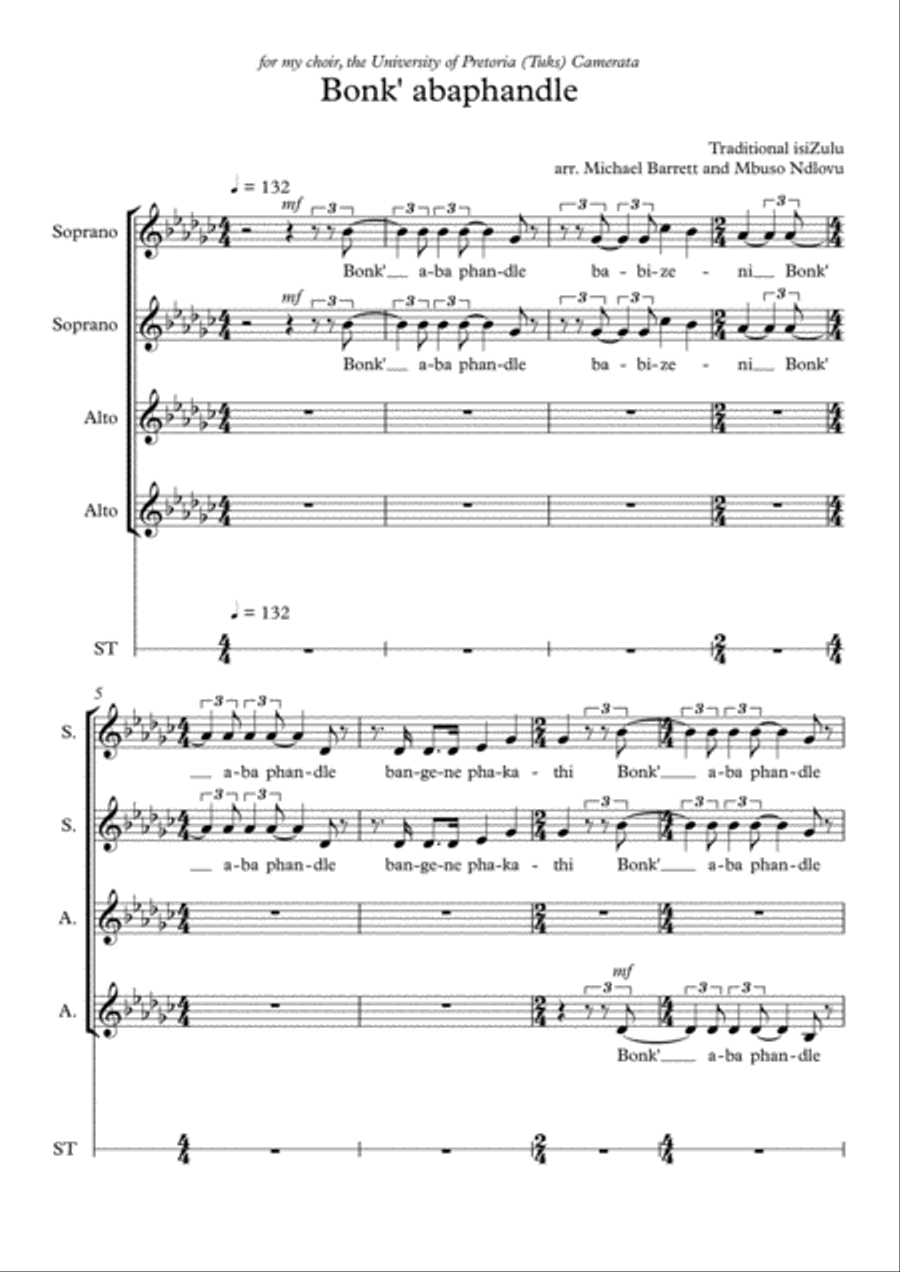 musiciscode Baka Mitai Sheet Music (Leadsheet) in Bb Major - Download &  Print - SKU: MN0234736