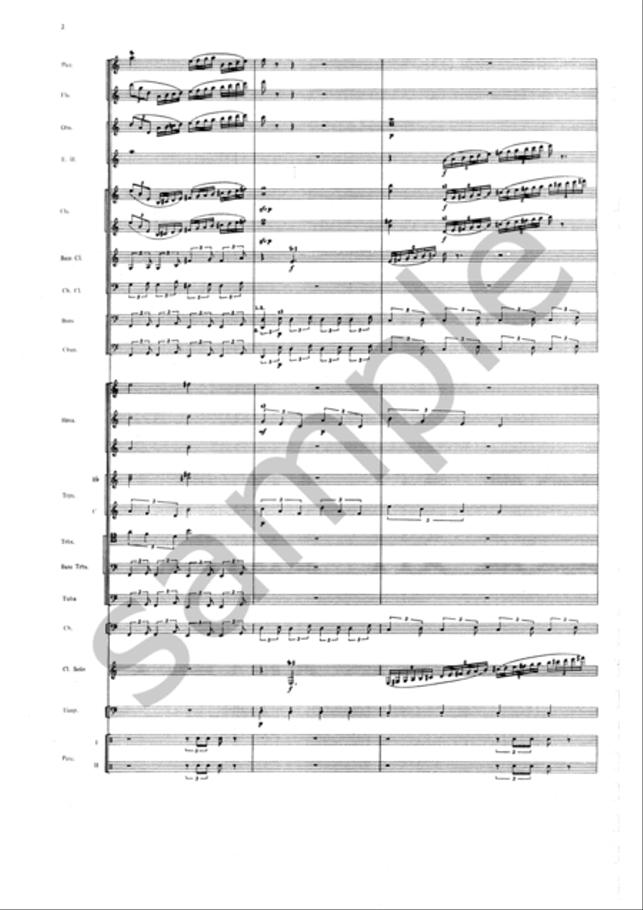Concerto Grosso English Horn scores gallery preview page 3