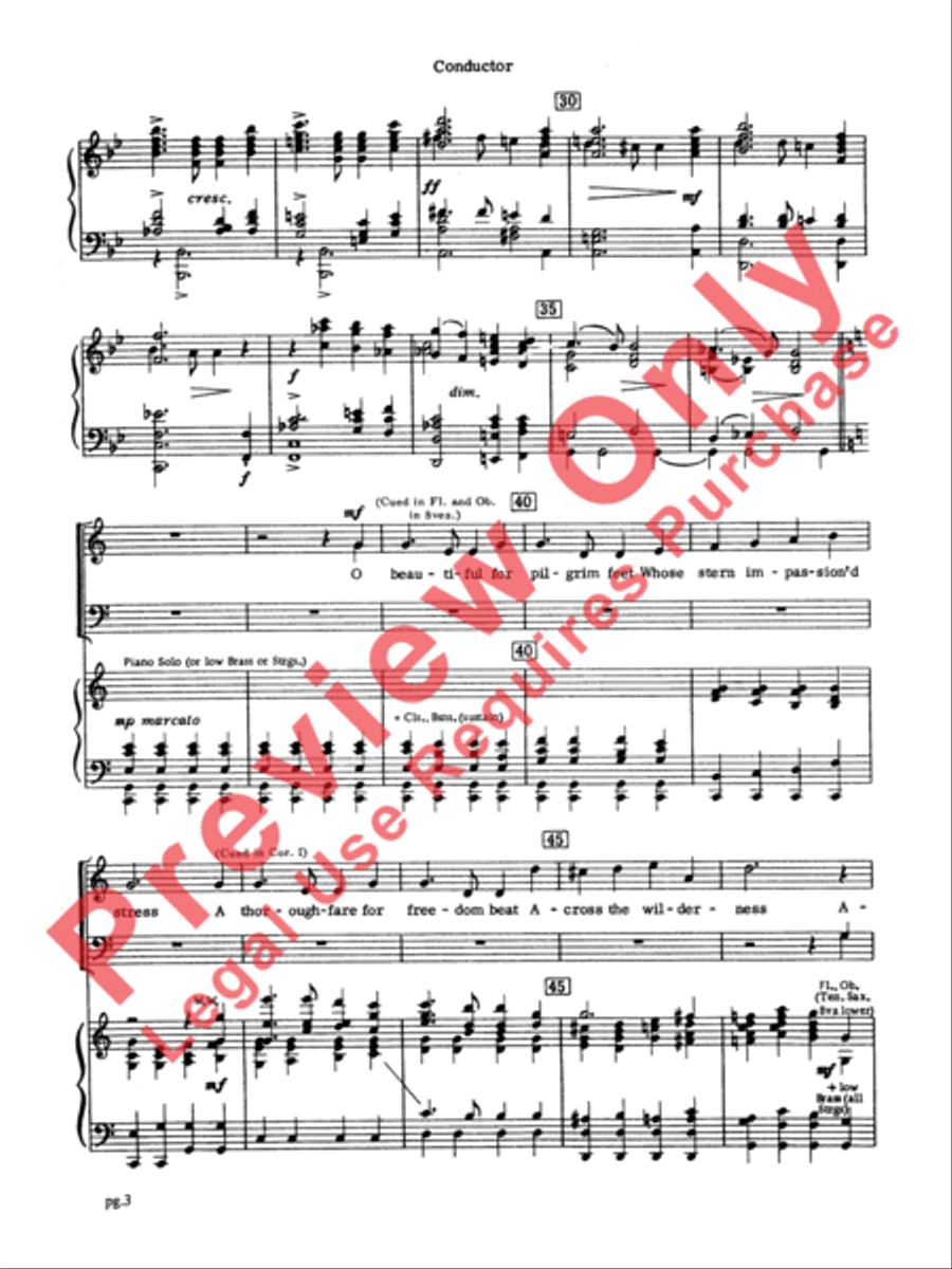 From Sea to Shining Sea From Sea to Shining Sea String Orchestra scores gallery preview page 5