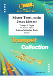 Susser Trost, mein Jesus kommt mini preview