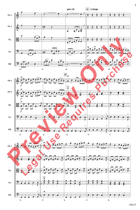 Fire Dance String Orchestra scores gallery preview page 7