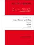 Unter Donner und Blitz op. 324